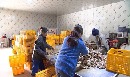 1595319487139151.jpg 1595319487139151.jpg